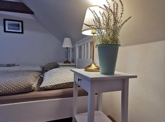 Apart Otel Rozmberk 3*